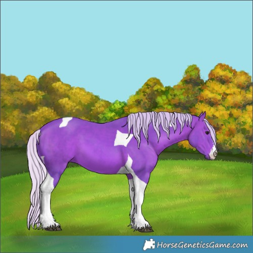 Horse Color:Watercolor White Spotted Silver Brown Tobiano 
