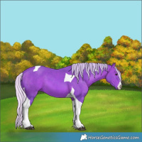 Horse Color:Watercolor White Spotted Silver Brown Tobiano 