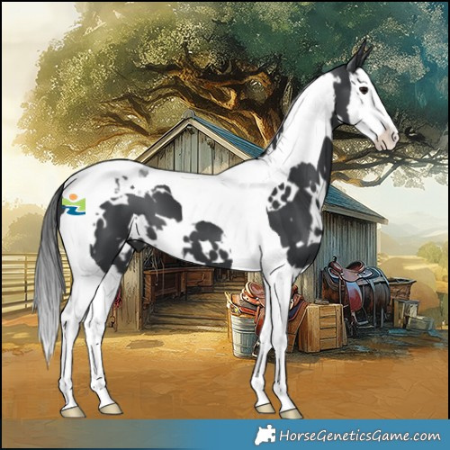 Horse Color:White Spotted Black Splash Tobiano 