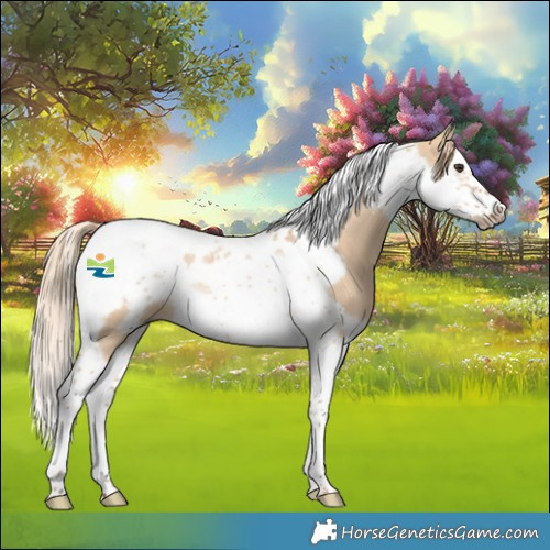 Horse Color:Red Dun Splash Tobiano Frame 