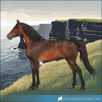 Horse Color:Brown 