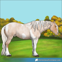 Horse Color:Silver Blue Roan Pearl Tobiano Frame