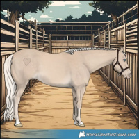 Horse Color:Cremello 