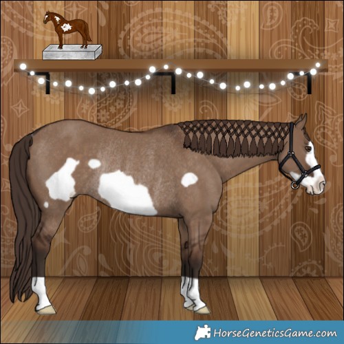 Horse Color:Liver Red Dun Frame Rabicano 