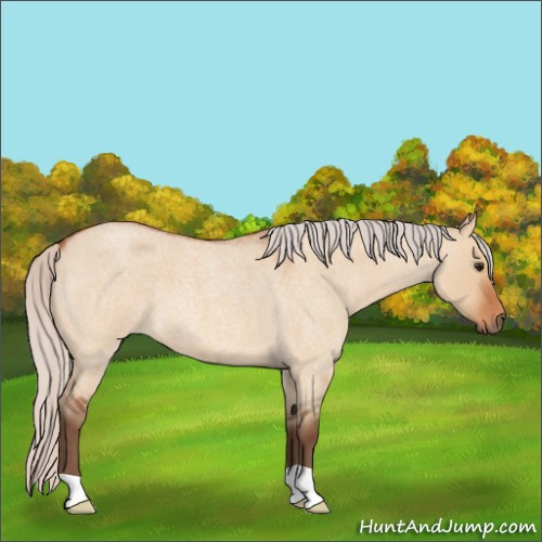 Horse Color:Silver Bay Roan Dun 
