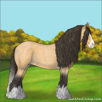 Horse Color:Buckskin Roan Splash 