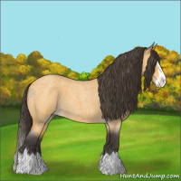 Horse Color:Buckskin Roan Splash 