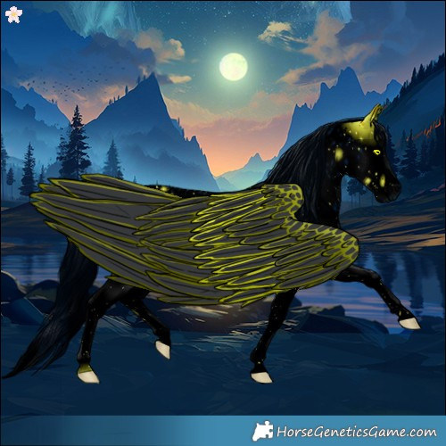 Horse Color:ERROR: UNKNOWN ANOMALY