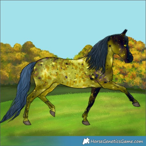 Horse Color:ERROR: UNKNOWN ANOMALY