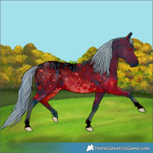 Horse Color:ERROR: UNKNOWN ANOMALY