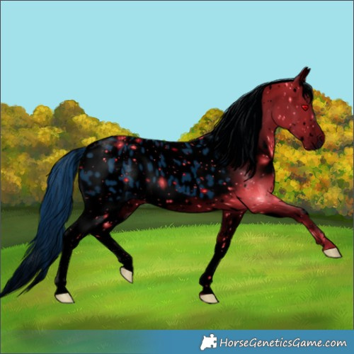 Horse Color:ERROR: UNKNOWN ANOMALY