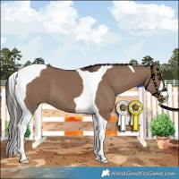 Horse Color:Liver Red Dun Tobiano 