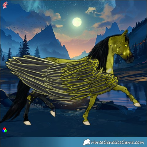 Horse Color:ERROR: UNKNOWN ANOMALY