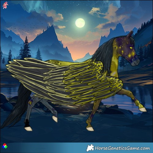 Horse Color:ERROR: UNKNOWN ANOMALY