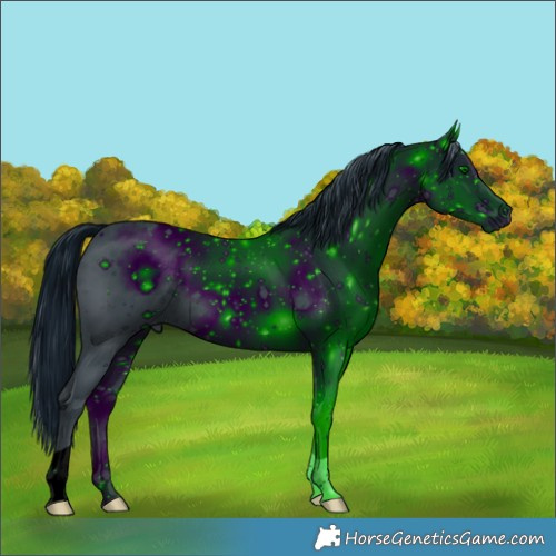 Horse Color:ERROR: UNKNOWN ANOMALY