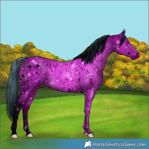 Horse Color:ERROR: UNKNOWN ANOMALY