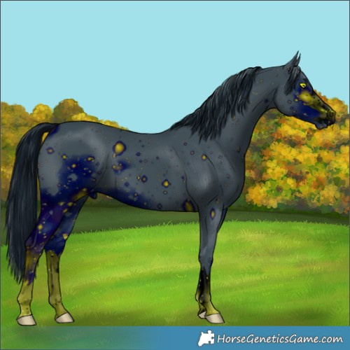 Horse Color:ERROR: UNKNOWN ANOMALY
