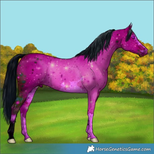 Horse Color:ERROR: UNKNOWN ANOMALY