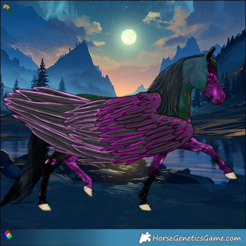 Horse Color:ERROR: UNKNOWN ANOMALY