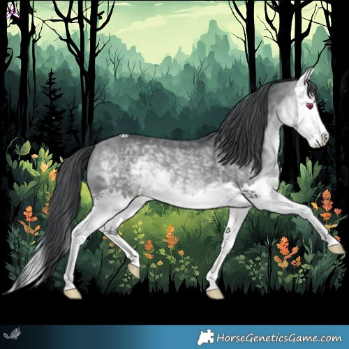 Horse Color:Bay Chinchilla Splash 