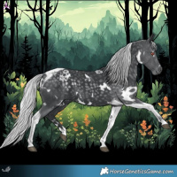 Horse Color:White Spotted Silver Black Chinchilla Tobiano