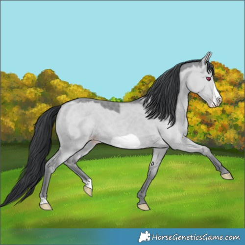 Horse Color:Classic Champagne Chinchilla Dun Frame 