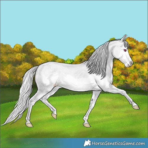 Horse Color:Silver Classic Champagne Chinchilla Dun Splash 