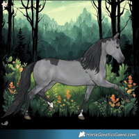 Horse Color:Grullo Chinchilla 