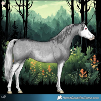 Horse Color:Silver Grullo Chinchilla Splash 