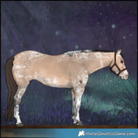 Horse Color:White Spotted Bay Ice Dun Tobiano 