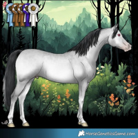 Horse Color:Amber Champagne Chinchilla Onyx 