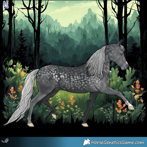 Horse Color:Silver Black Chinchilla 