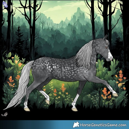 Horse Color:Silver Black Chinchilla 