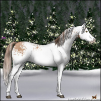 Horse Color:White Spotted Brown Pearl Splash Rabicano 