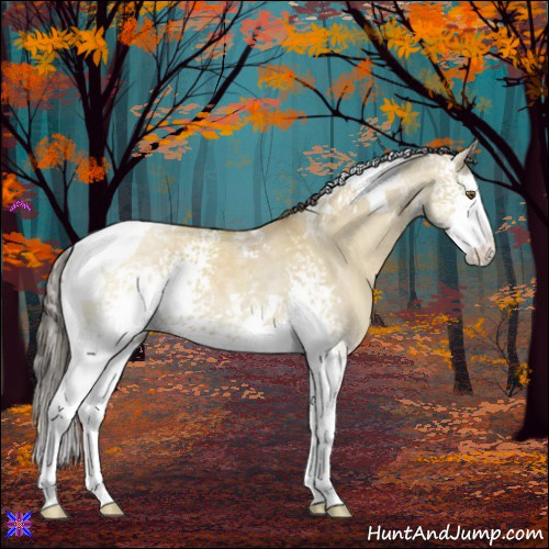 Horse Color:White Spotted Classic Cream Champagne Dun Splash Tobiano Rabicano