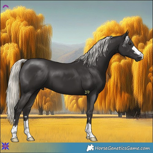 Horse Color:Liver Chestnut Mushroom 