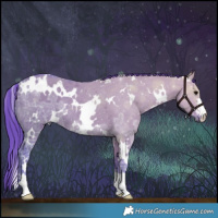 Horse Color:Watercolor White Spotted Grullo Ice Rabicano 