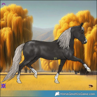 Horse Color:Liver Chestnut Mushroom 