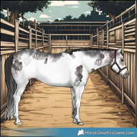 Horse Color:Brown Ice Sabino Splash Frame