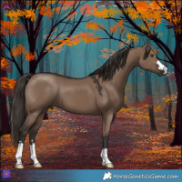 Horse Color:Liver Red Dun 