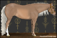 Horse Color:Chestnut Mushroom