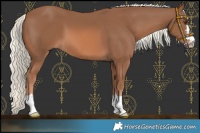 Horse Color:Chestnut Mushroom