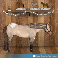 Horse Color:White Spotted Bay Dun Appaloosa Rabicano 