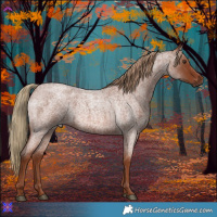 Horse Color:Red Roan 