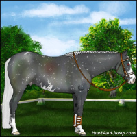Horse Color:Silver Black Chinchilla Sabino Appaloosa