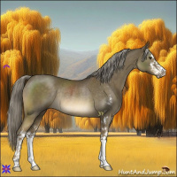 Horse Color:Chocolate Palomino Mushroom Sabino Rabicano 