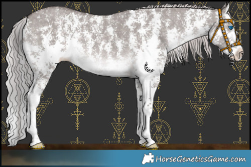 Horse Color:Platinum Chocolate Palomino Dun Sabino Splash 