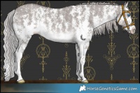 Horse Color:Platinum Chocolate Palomino Dun Sabino Splash 