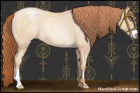 Horse Color:Sable Champagne Roan Pearl 