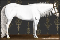 Horse Color:Silver Smoky Black Pearl Near Fewspot